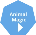 Animal  Magic